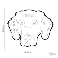Load image into Gallery viewer, Médaille pour chien collection Friends, FLAT COAT RETRIEVER - Boutique Le Jardin Des Animaux -médailleBoutique Le Jardin Des AnimauxMF103
