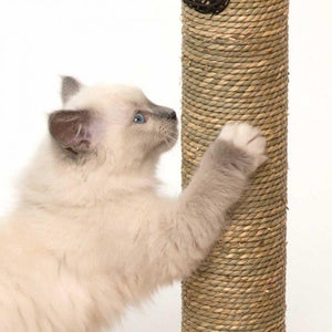 Meuble High Base Vesper – chêne, arbre à chat - Boutique Le Jardin Des Animaux -Griffoir, meuble et litBoutique Le Jardin Des Animaux52042