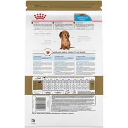 Nourriture Royal Canin chiot Teckel - Boutique Le Jardin Des Animaux -Nourriture chienBoutique Le Jardin Des AnimauxRCPMDAC025