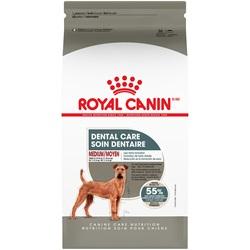 Nourriture Royal Canin Moyen chien soin dentaire - Boutique Le Jardin Des Animaux -Nourriture chienBoutique Le Jardin Des AnimauxRCMD300