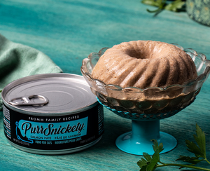 Fromm PurrSnickety Cat Canned - Salmon Pâté 5.5oz