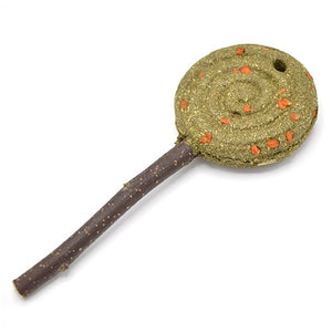 OXBOW Enriched Life - Sucette glacée à la carotte et Fléole des prés - Boutique Le Jardin Des Animaux -jouet petit mammifèreBoutique Le Jardin Des AnimauxOX96532