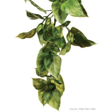 Plante de jungle Exo Terra, amapallo, moyenne - Boutique Le Jardin Des Animaux -DécorationBoutique Le Jardin Des AnimauxPT3011