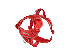 RC Pet Momentum Fuchsia Control Harness