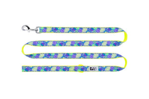 RC Pet Rainbow Paws Leash
