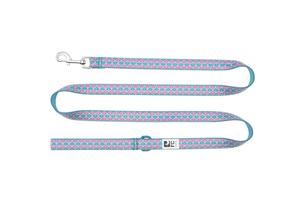 RC Pet Rainbow Paws Leash
