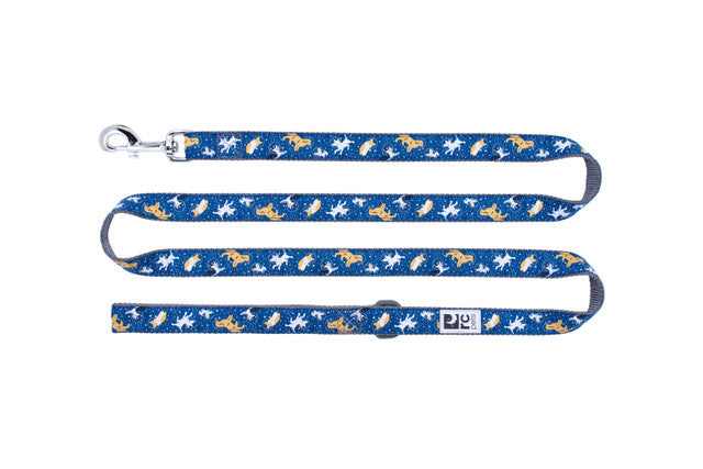 RC Pet Rainbow Paws Leash