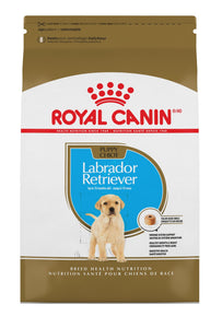 Royal Canin pour chiot Labrador - Boutique Le Jardin Des Animaux -Nourriture chienBoutique Le Jardin Des AnimauxRCXRC30
