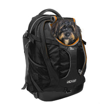 Load image into Gallery viewer, Dogit Explorer Expandable Carry Bag, Blue
