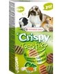 Versele-Laga Crispy Toasty aux légumes pour petits mammifères 150g - Boutique Le Jardin Des Animaux -Gâterie petit mammifèreBoutique Le Jardin Des Animauxh-462005